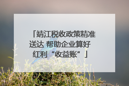 靖江税收政策精准送达 帮助企业算好红利“收益账”